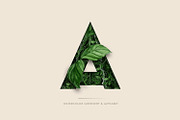 UPDATE - Abundant Greenery, an Object Graphic by Jeanina Vlad (Thumbnail 1 of 9)