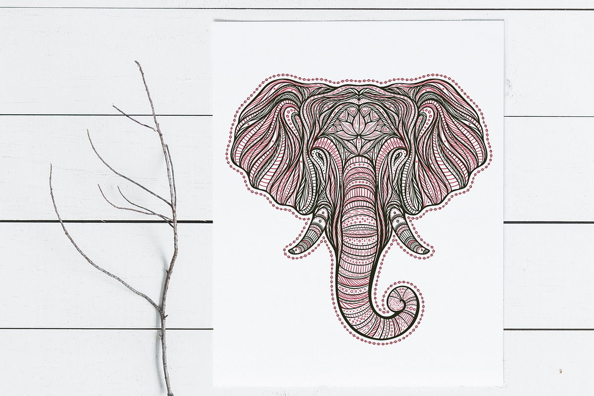 Vector elephant set, an Animal Illustration by IreneArt illustrations (Photo 1 of 8)