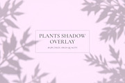 Plants Shadow Overlay, a Background Graphic by M9 Design (Thumbnail 1 of 11)