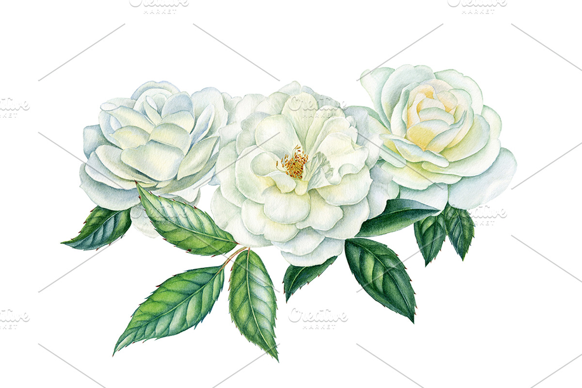 White roses, a Decorative Illustration by Watercolor life (Photo 6 of 7)
