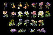 100 Floral Watercolor Illustrations, an Object Graphic by Nocturnal Wolf (Thumbnail 12 of 13)