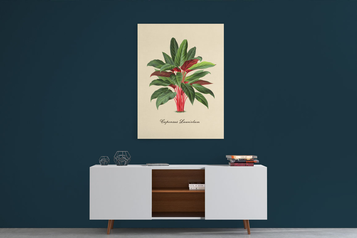 Vintage Illustrations - Leaves, an Illustration by BlackBird Foundry (Photo 4 of 4)