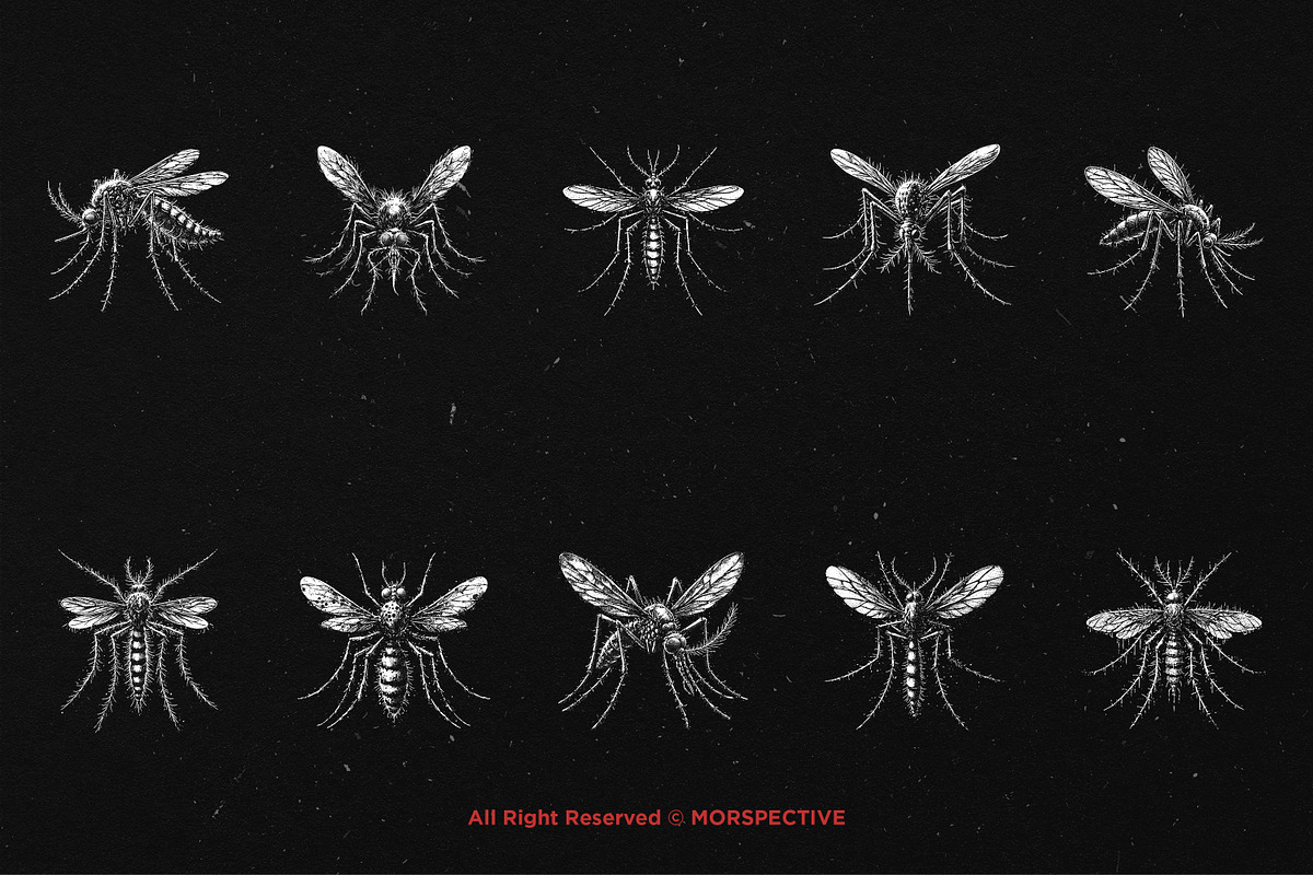 10 Bundle Dark Art Mosquito Insect, an Illustration by Morspective (Photo 6 of 7)