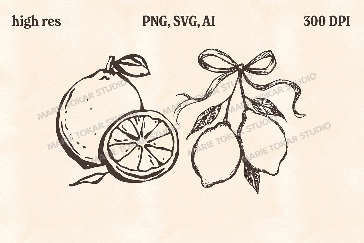 Whimsical Berry Fruit Bundle SVG PNG, a Food Illustration by Marie T (Photo 27 of 36)