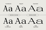 Malvera, a Serif Font by Black Studio (Thumbnail 3 of 16)
