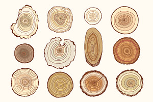 Tree Rings