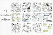 Butterflies and floral collection., an Illustration by TaPilipa (Thumbnail 10 of 13)