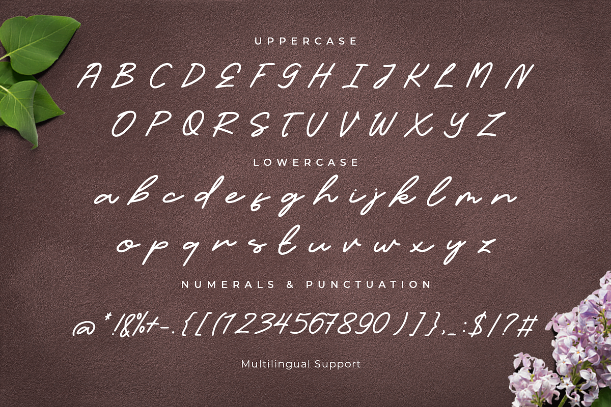 Candelia Script Font, a Script Font by edukka (Photo 2 of 8)