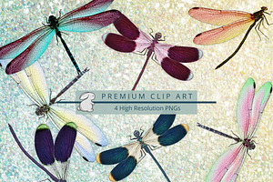 Watercolor Dragonflies Clip Art