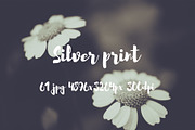 Silver print pack, a Templates & Theme by ApertureVintage (Thumbnail 7 of 29)