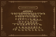 Braders A Classic Typeface Font, a Serif Font by Storytype Studio (Thumbnail 16 of 17)