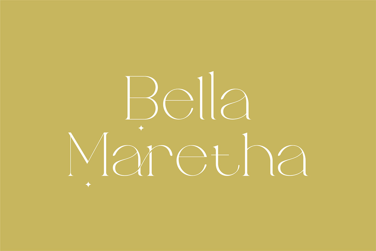Brillant - Stylish Ligature Serif, a Serif Font by suhadidesign (Photo 3 of 10)
