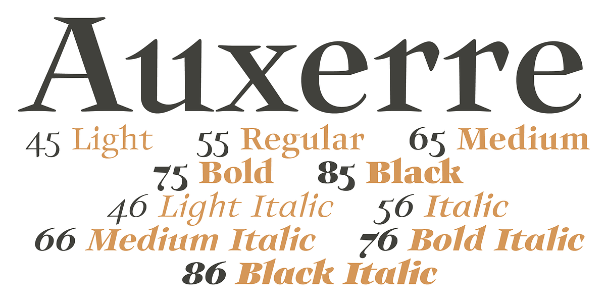 Auxerre, a Serif Font by ingoFonts (Photo 2 of 8)