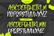 Thevalo Brush | Brush Script Font, a Script Font by Denustudios (Thumbnail 10 of 14)