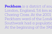 Peckham, a Slab Serif Font by Los Andes Type (Thumbnail 2 of 14)