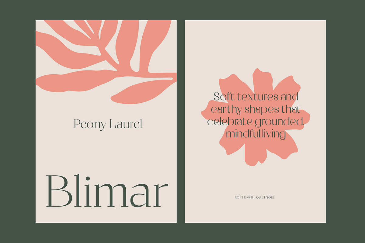 Raslera Modern Serif Display, a Sans Serif Font by timelesstype.co (Photo 11 of 20)