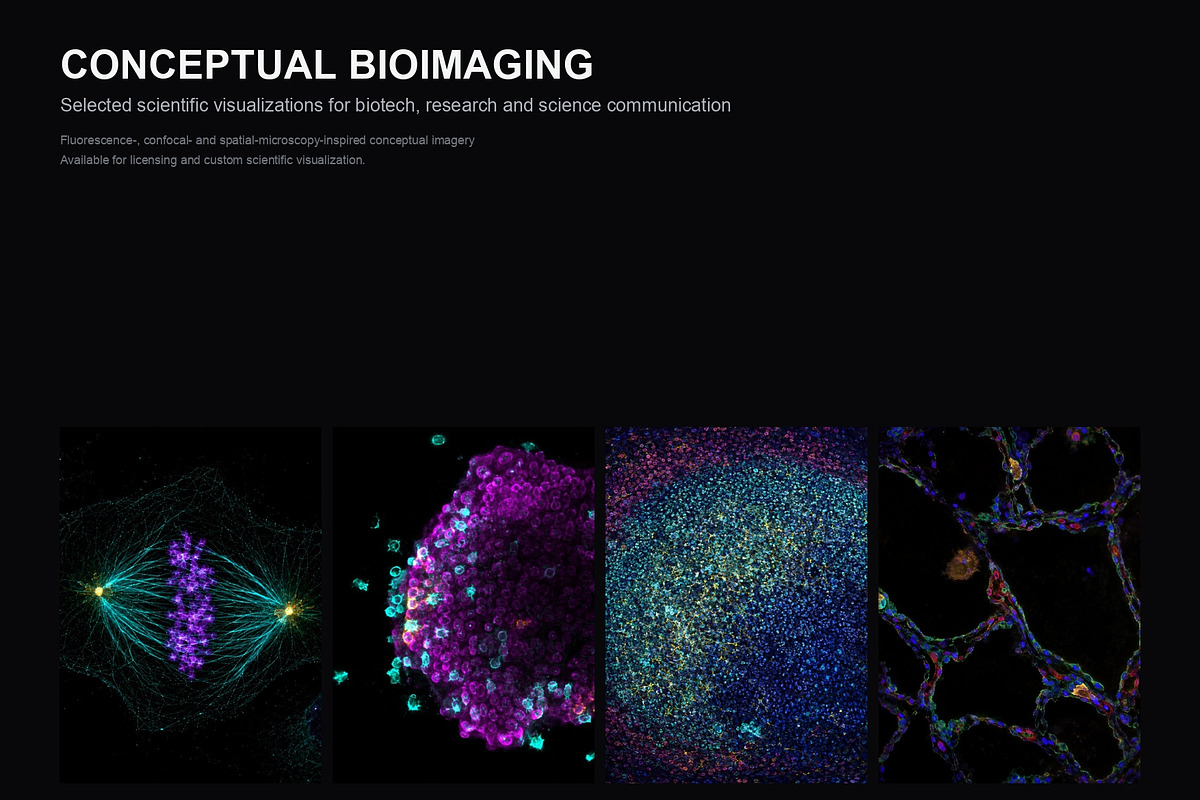 Biomedical Microscopy, a Healthcare Illustration by liravega (Photo 1 of 7)