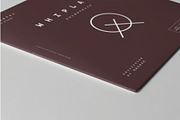 Vinyl Mock-up, a Product Mockup by zippypixelstudio (Thumbnail 3 of 9)