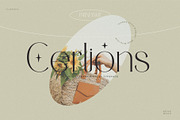 Cerlions - Classic Elegant Display, a Serif Font by BrandSemut (Thumbnail 11 of 11)