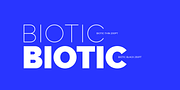 Biotic, a Sans Serif Font by TypeUnion (Thumbnail 10 of 15)