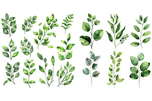 Watercolor Elements Green Leaves