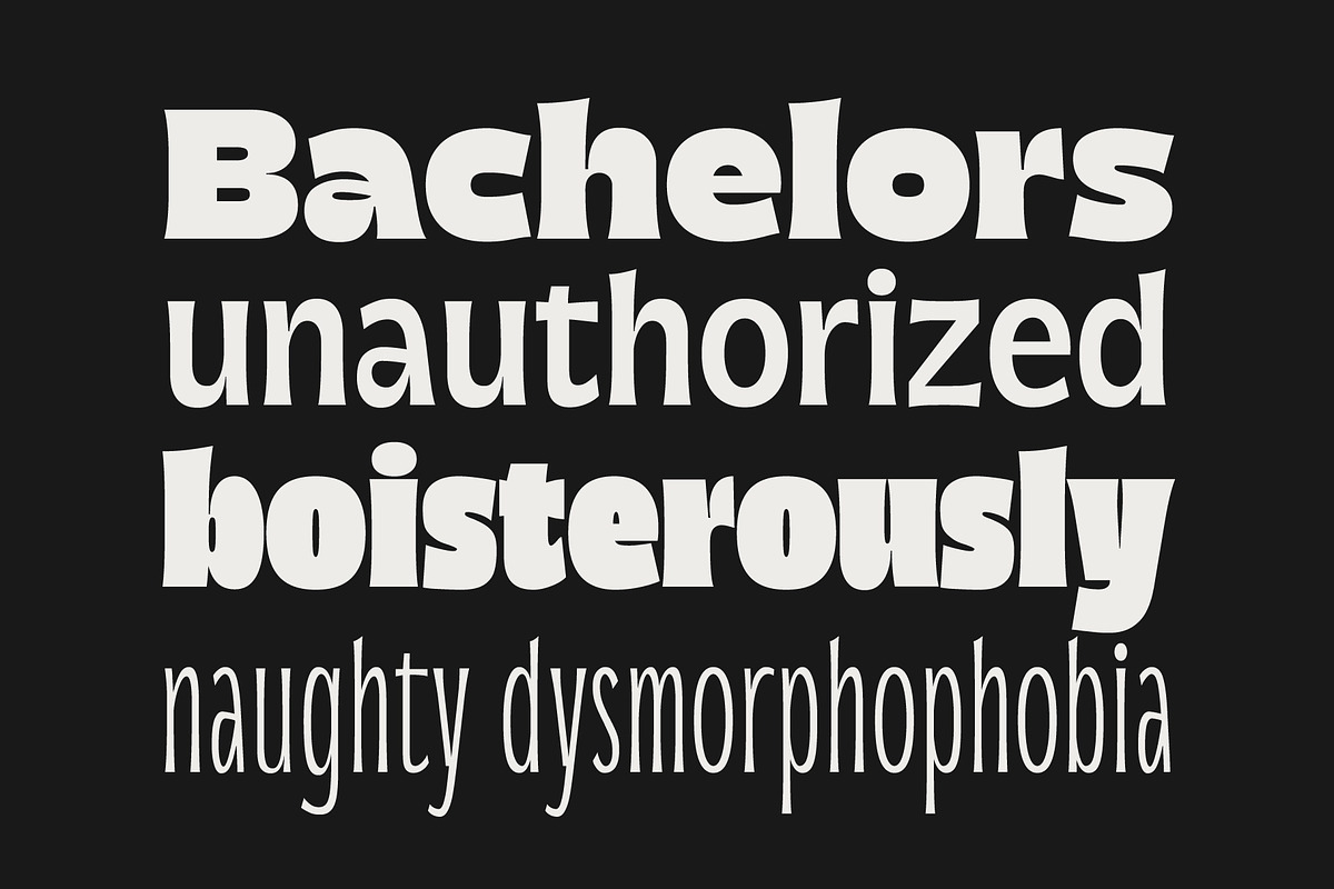 Norsy - Variable Display, a Sans Serif Font by Adam Fathony (Photo 7 of 19)