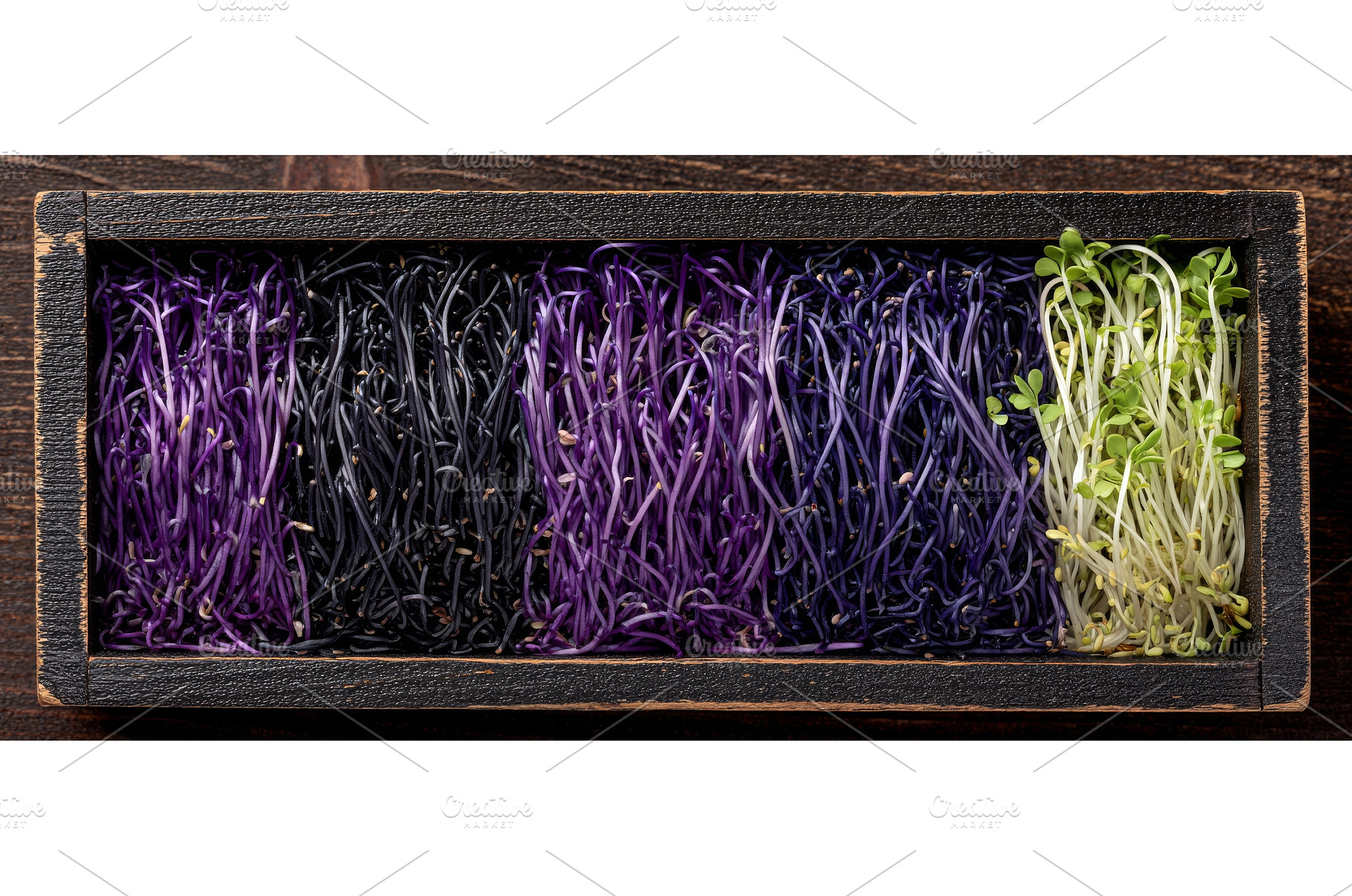 A range of microgreens varieties are, a Food & Drink Photo by ZinetroN
