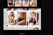 Lingerie Store Website Template, a Websites & App Template by Ordasoft (Thumbnail 2 of 3)