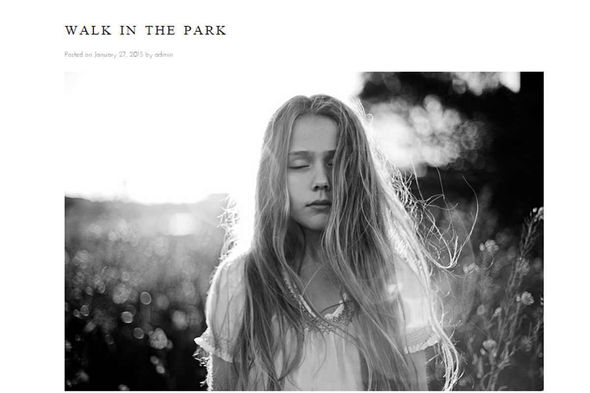 Wordpress Theme - Josephine, a WordPress Template by Theme Fashion (Photo 2 of 2)