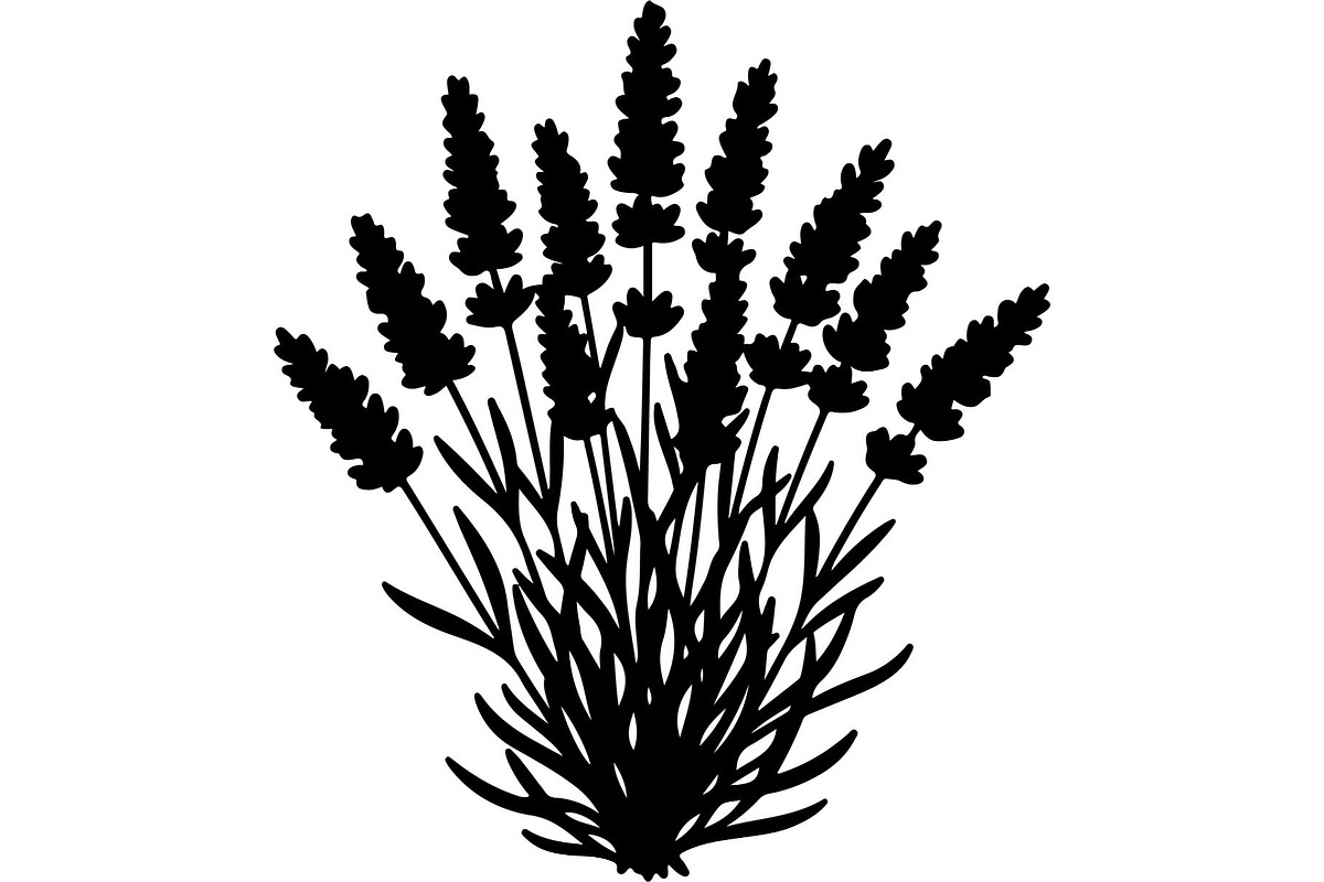 Lavender Flower Silhouette, an Object Graphic by Designer_Momina (Photo 14 of 20)