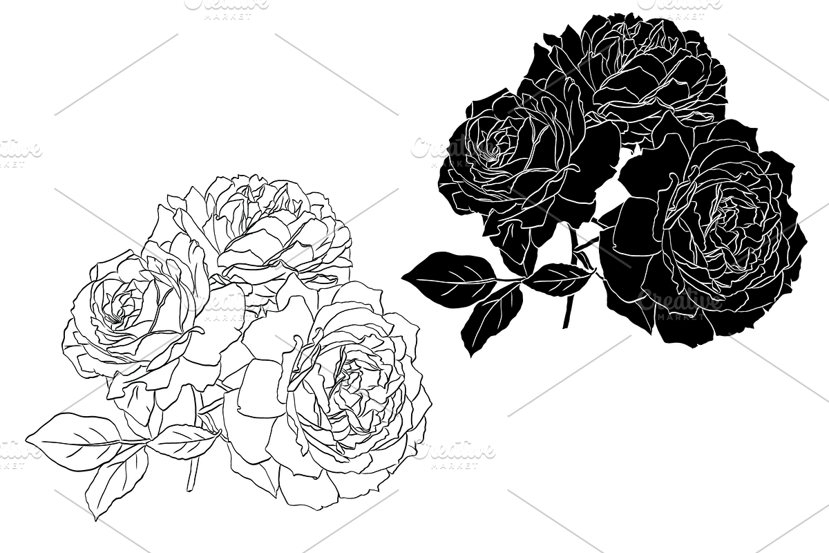 Bunch of Roses, an Object Graphic by VictoriaKStudio (Photo 3 of 8)