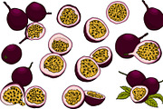 Hand drawn passion fruits, a Food Illustration by Elena Mykhailenko (Thumbnail 4 of 8)