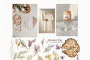 Watercolor Botanical Forest Set, an Animal Illustration by BarvArt (Thumbnail 3 of 20)
