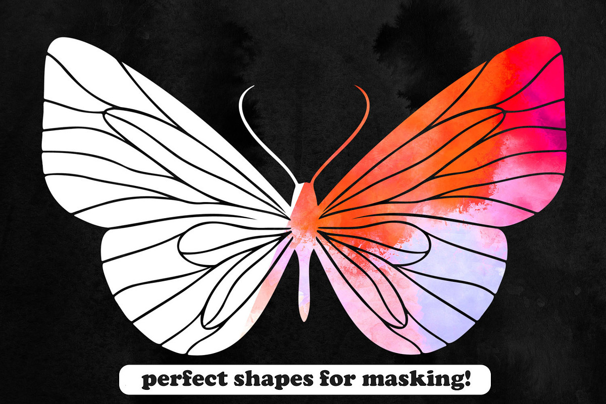 30 Butterfly Photoshop Brushes, PNG, a Brush Add-On by ArtistMef (Photo 4 of 4)