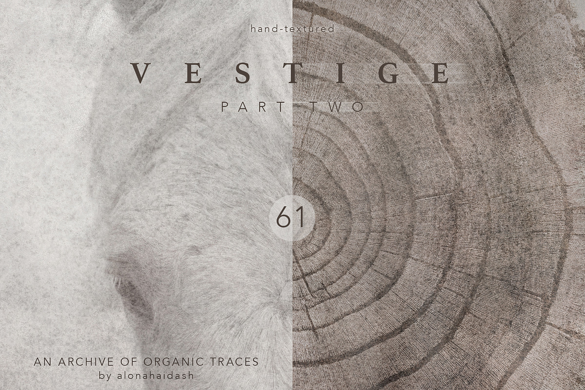 Vestige II · Organic Backgrounds, a Background Graphic by alonahaidash (Photo 1 of 16)