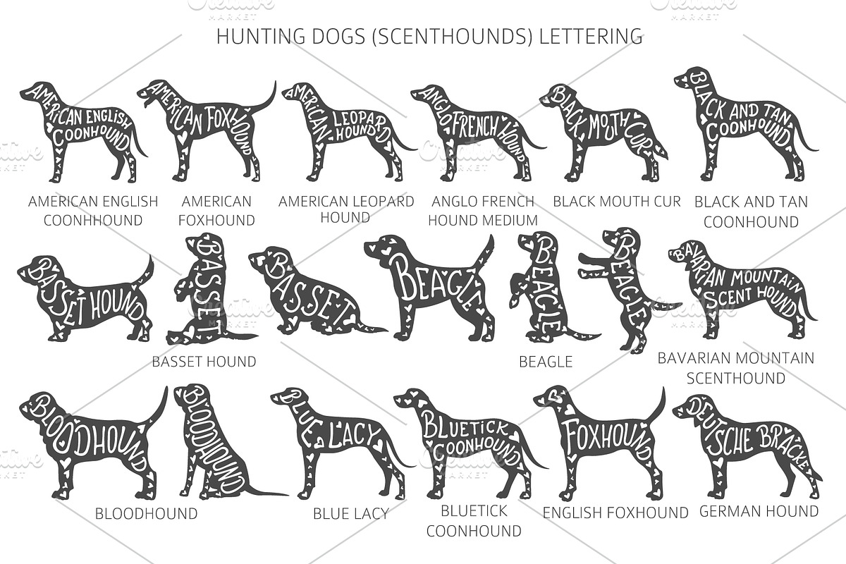 Scenthound (Hunting Dogs) Silhouette, an Animal Illustration by pet design shop (Photo 3 of 11)