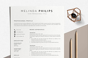 Professional Resume Template Word, a Resume Template by LucaTheme (Thumbnail 1 of 10)