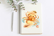 Watercolor starfish, shells, crabs, an Animal Illustration by Hanna Hryharenka (Thumbnail 7 of 12)