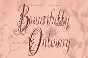 Wanderin Autumn Artisan Floral font, a Script Font by HypeWorksCo (Thumbnail 14 of 28)