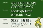 VALERIE, a Sans Serif Font by Pinisi ART (Thumbnail 2 of 10)