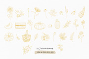 AUTUMN|Botanical line art collection, a Seasonal Illustration by Navenzeles (Thumbnail 15 of 16)