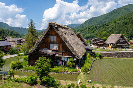 Traditional houses and rice fields in Shirakawa-go, rural Japan, an Architecture Photo by GoodGoods