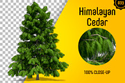 CUT OUT TREES - 60 PCS BUNDLE, a Packaging Mockup by 3DSTORE (Thumbnail 34 of 63)