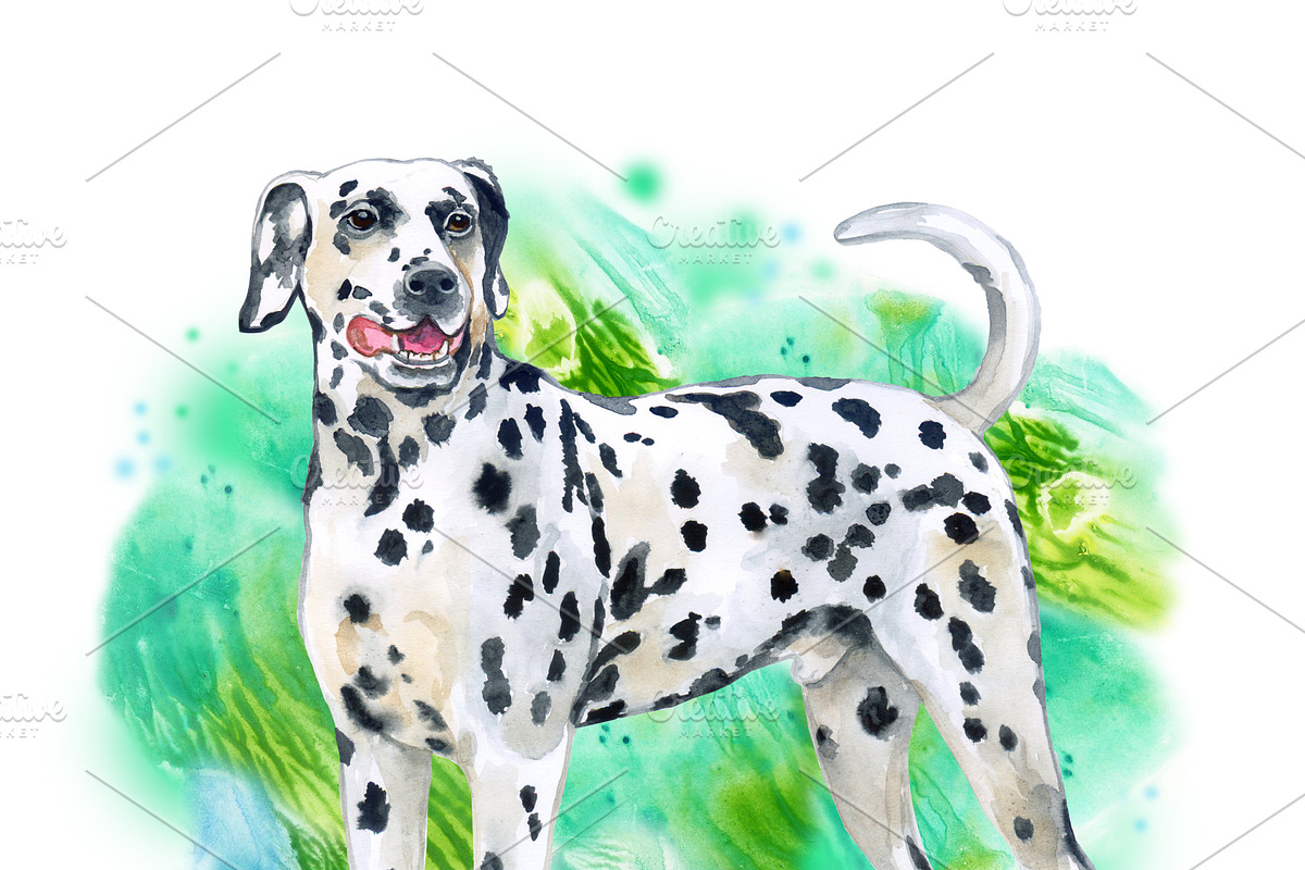 Watercolor Dogs Mega Big Bundle, an Illustration by Dneprstock (Photo 23 of 60)