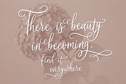Soila Yadelle Elegant Curves Script, a Script Font by HypeWorksCo (Thumbnail 2 of 15)