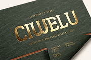 Ciwelu | A Sophisticated Serif, a Serif Font by Astuti Studio (Thumbnail 11 of 25)