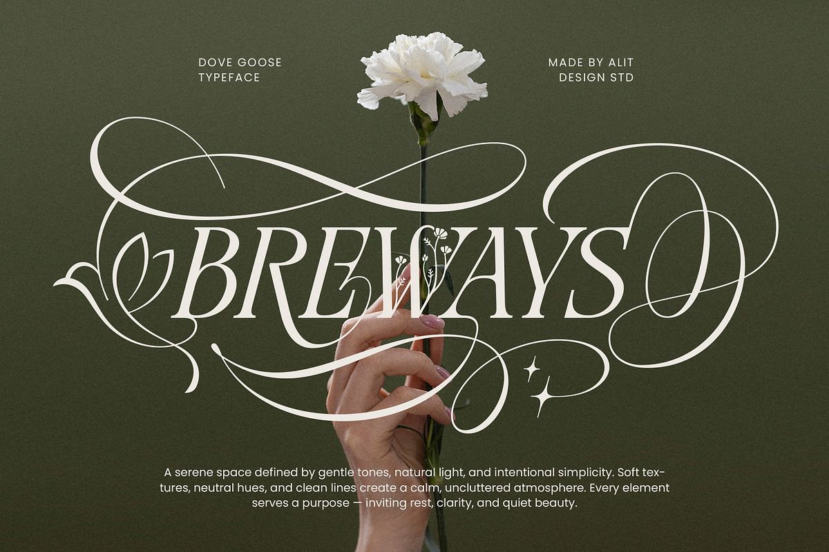 Dove and Goose Typeface, a Serif Font by alit design (Photo 5 of 20)