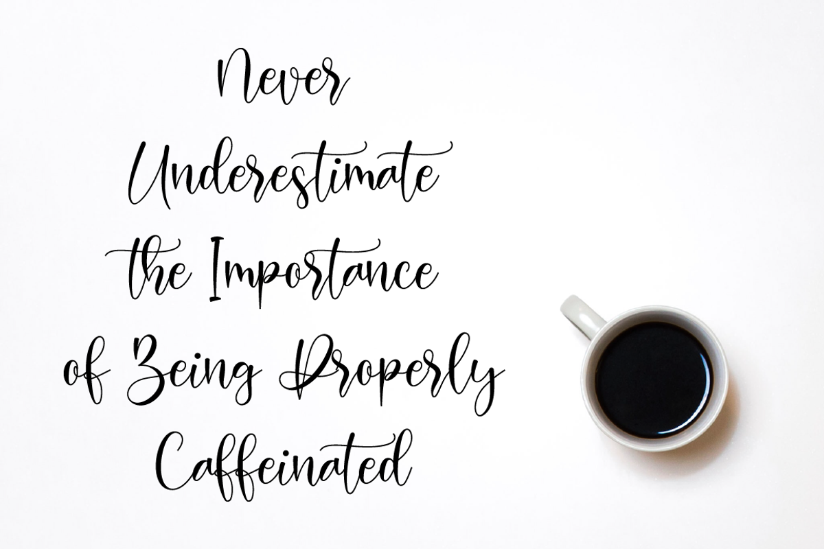 Hosbela Script, a Script Font by Nissa Studio (Photo 9 of 12)