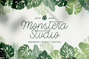 Kangtoni - Monoline Script Font, a Script Font by StringLabs (Thumbnail 3 of 11)