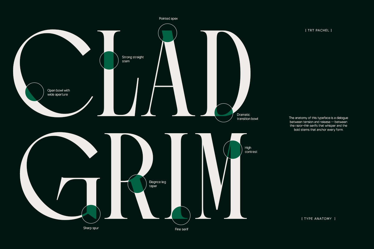 TRT Pachel Luxury Editorial Serif, a Serif Font by truetype (Photo 5 of 15)